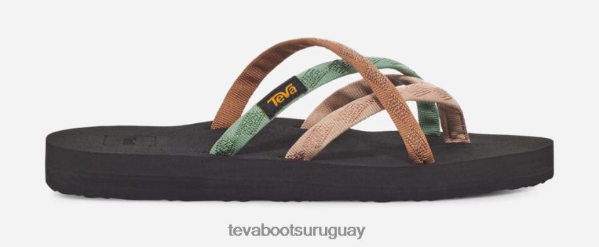Teva 2PD2D642 olowahu de mujer mezcla b azúcar de arce multi