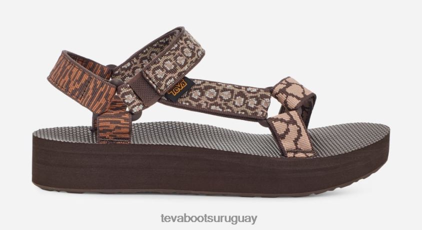 Teva 2PD2D622 universal de forma media para mujer azúcar de arce gemina