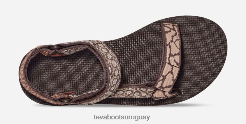 Teva 2PD2D622 universal de forma media para mujer azúcar de arce gemina