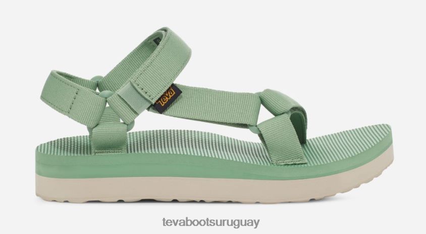 Teva 2PD2D628 universal de forma media para mujer albahaca