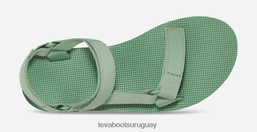 Teva 2PD2D628 universal de forma media para mujer albahaca