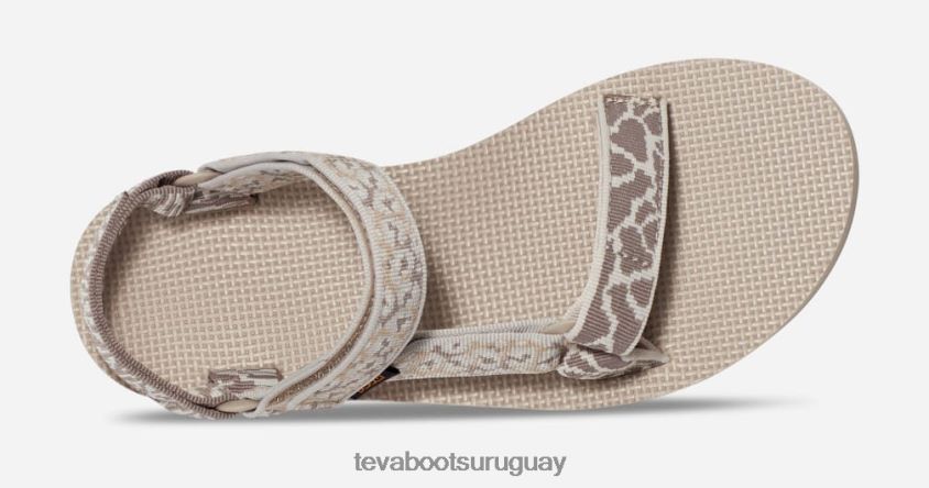 Teva 2PD2D66 universales originales para mujer pluma de gemina gris