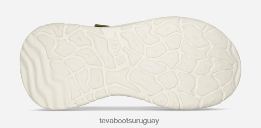 Teva 2PD2D687 zymic de las mujeres áloe