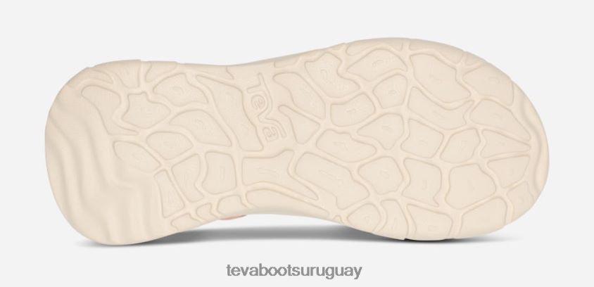 Teva 2PD2D690 zymic de las mujeres azucar de arce