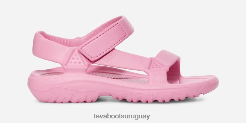 Teva 2PD2D6342 deriva del huracán para niños pequeños flor de rosa
