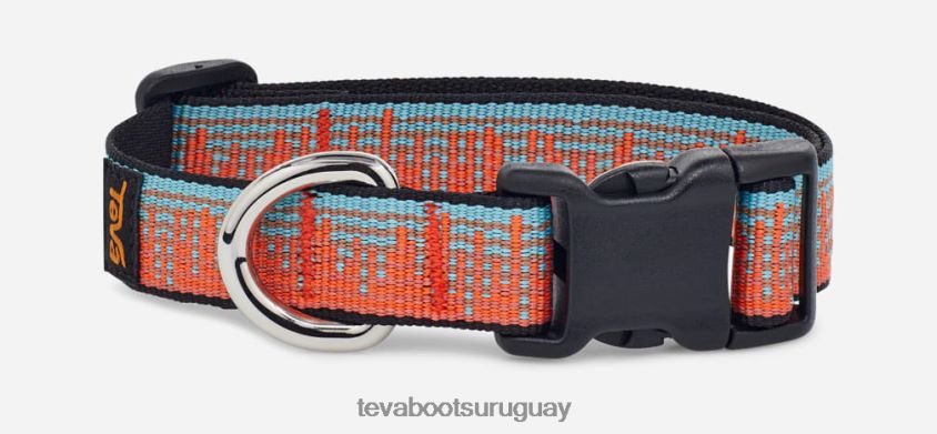 Teva 2PD2D6215 collar para perros unisex 19mm atmósfera zanahoria/espejismo azul