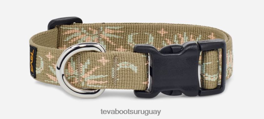Teva 2PD2D6216 collar para perros unisex 19mm aloe sol y luna