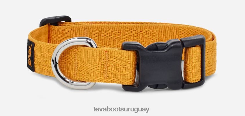 Teva 2PD2D6217 collar para perros unisex 19mm girasol textural teva