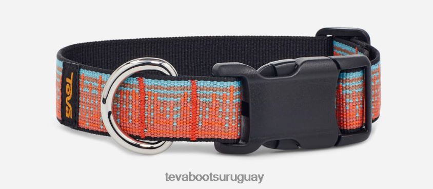 Teva 2PD2D6221 collar para perros unisex 25mm atmósfera zanahoria/espejismo azul