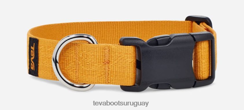 Teva 2PD2D6223 collar para perros unisex 25mm girasol textural teva