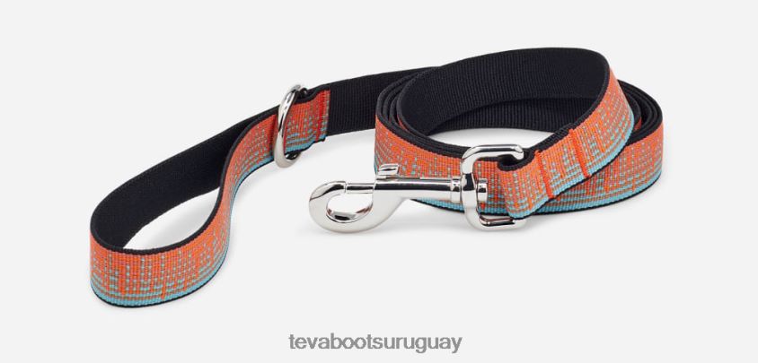 Teva 2PD2D6210 correa para perro 25mm atmósfera zanahoria/espejismo azul