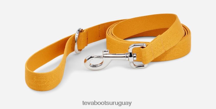 Teva 2PD2D6212 correa para perro 25mm girasol textural teva