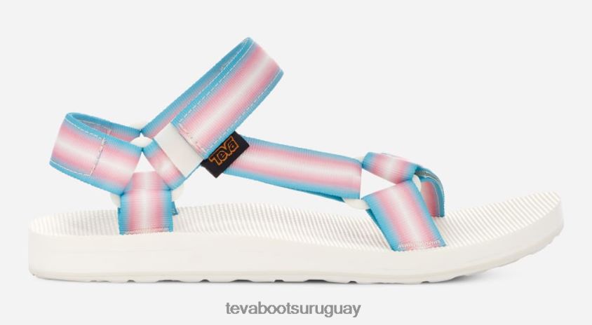 Teva 2PD2D6241 todo género original universal graduado pasteles múltiples