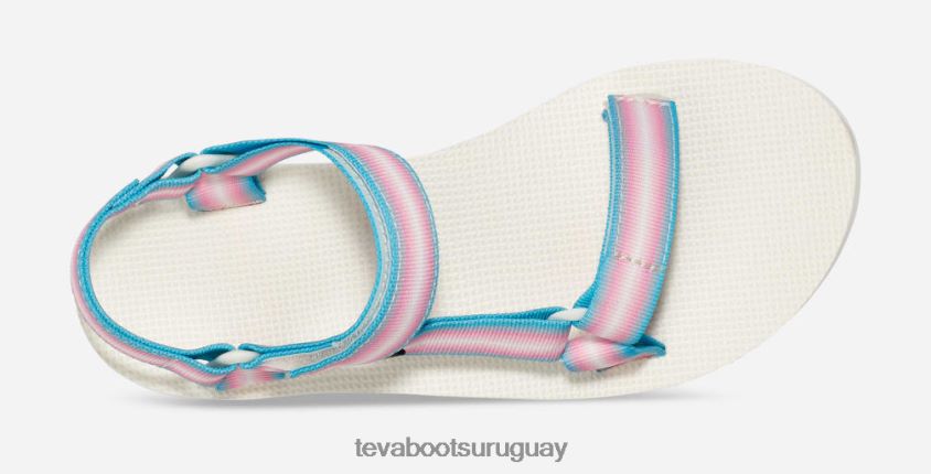 Teva 2PD2D633 todo género original universal graduado pasteles múltiples
